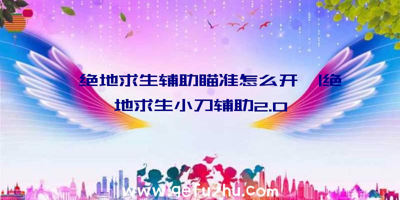 「绝地求生辅助瞄准怎么开」|绝地求生小刀辅助2.0